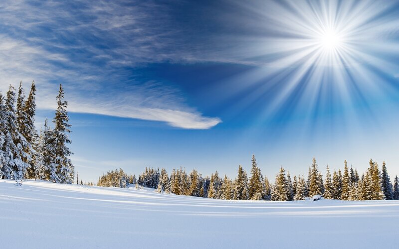 Snow-covered Pine Trees — Blue, Serene, Winter, Photograph, Sun, Sky, Clouds