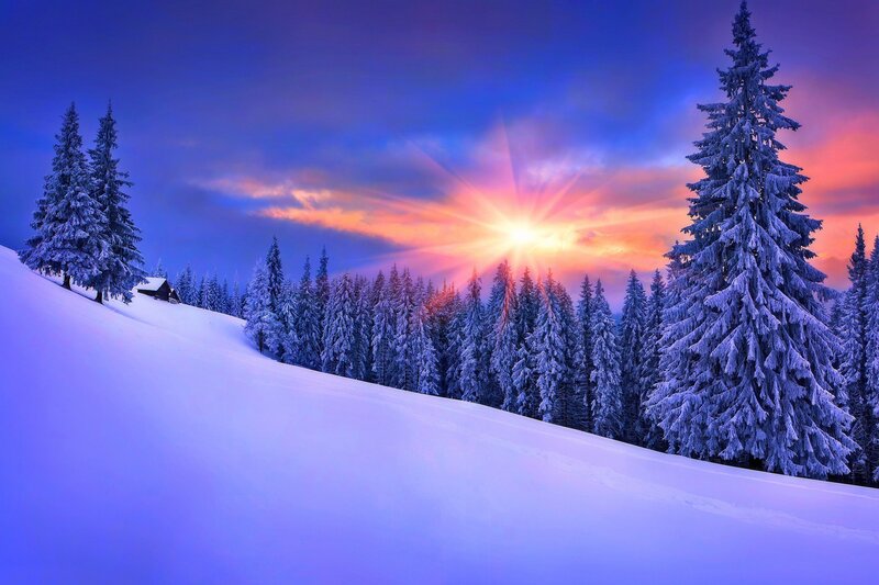 Snow-covered Pine Trees — Blue, Serene, Winter, Photograph, Sunset, Mountain