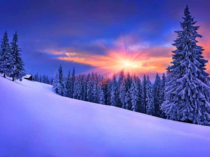 Snow-covered Pine Trees — Blue, Serene, Winter, Photograph, Sunset