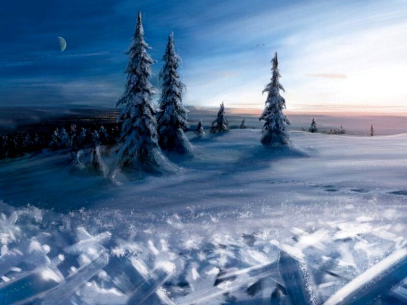 Snow-covered Pine Trees — Blue