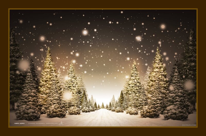 Snow-covered Pine Trees — Brown