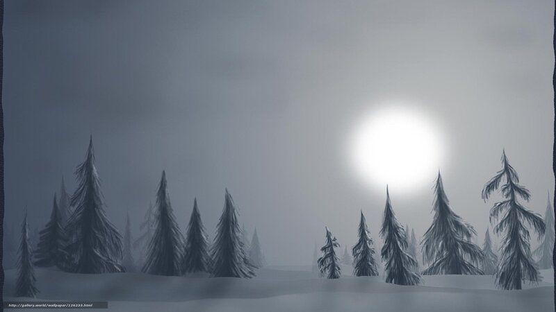 Snow-covered Pine Trees — Gray, Serene, Night
