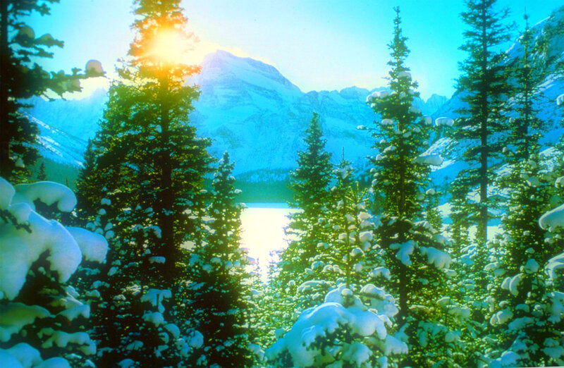 Snow-covered Pine Trees — Green, Serene, Winter, Photograph, Mountains, Lake