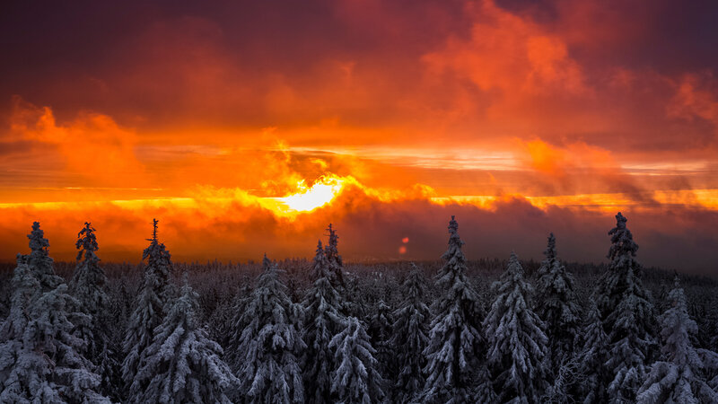 Snow-covered Pine Trees — Orange, Dramatic, Winter, Photograph, Sun, Clouds