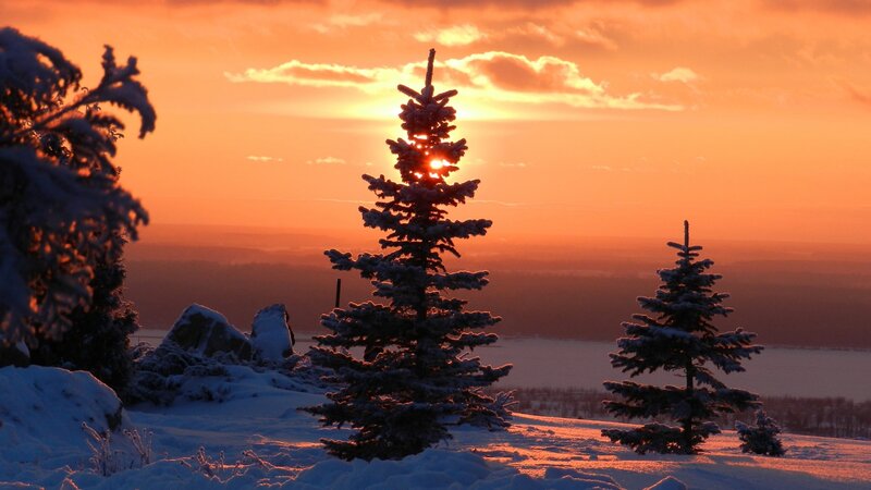 Snow-covered Pine Trees — Orange, Serene, Sunset, Photograph, Sun, Clouds
