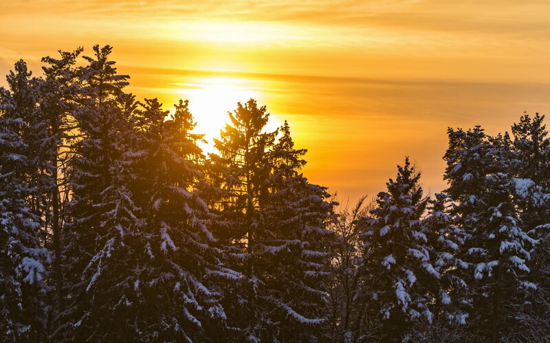 Snow-covered Pine Trees — Orange, Serene, Sunset, Photograph, Sun, Sky