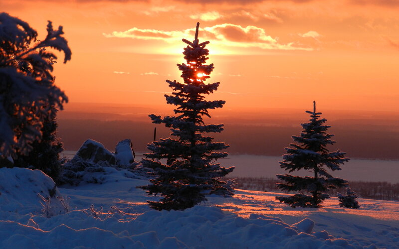 Snow-covered Pine Trees — Orange, Serene, Sunset, Photograph, Sun, Snow