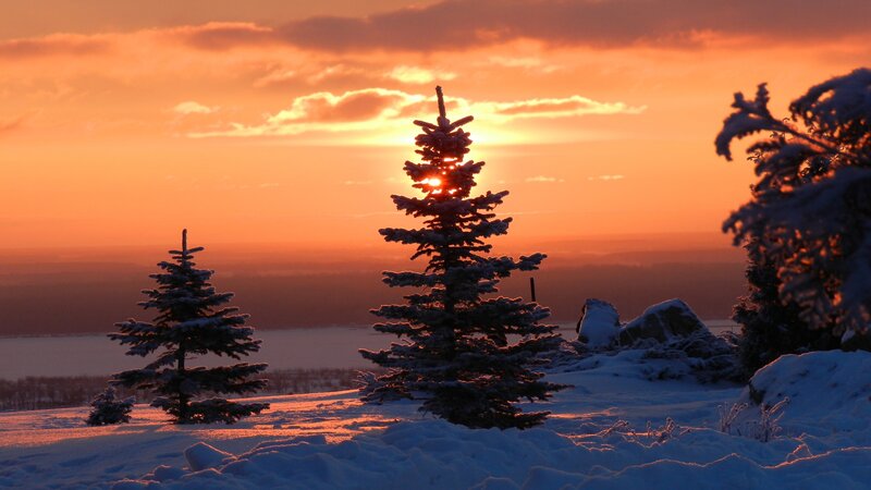Snow-covered Pine Trees — Orange, Serene, Sunset, Photograph, Sun