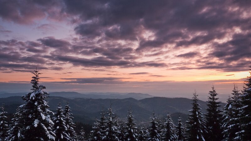 Snow-covered Pine Trees — Purple, Serene, Sunset, Photograph, Mountains