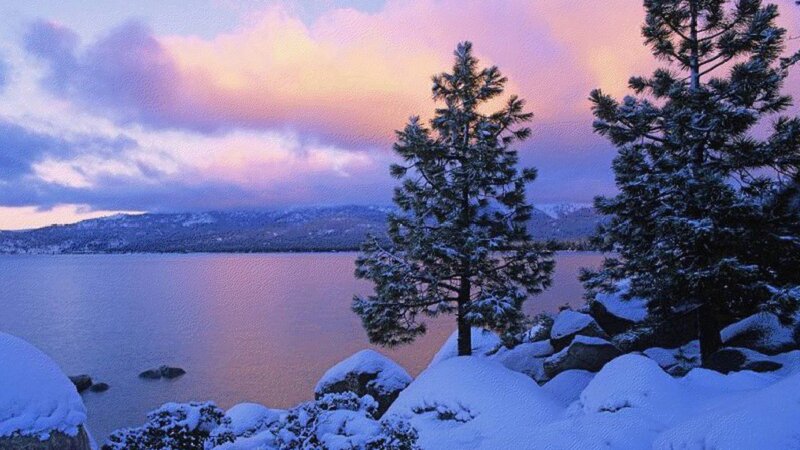 Snow-covered Pine Trees — Purple, Serene, Sunset