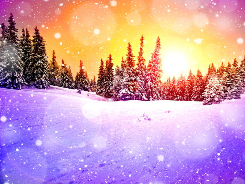 Snow-covered Pine Trees — Purple, Serene, Winter, Digital Art