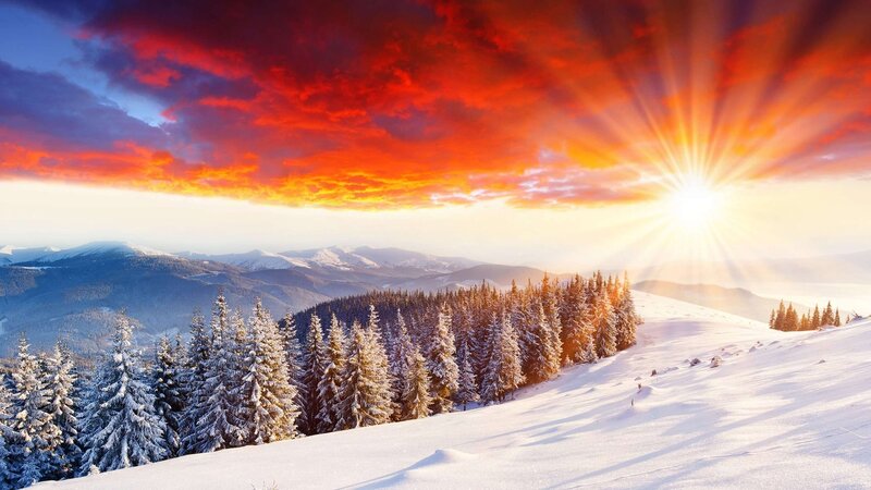 Snow-covered Pine Trees — Red, Dramatic, Sunrise, Photograph, Mountains