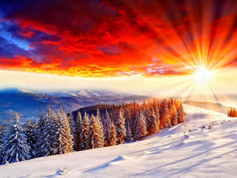 Snow-covered Pine Trees — Red, Dramatic, Sunrise, Photograph