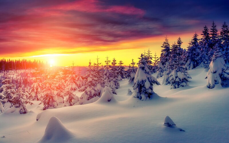 Snow-covered Pine Trees — Red, Dramatic, Sunset, Photograph