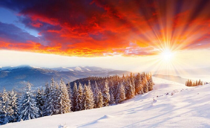Snow-covered Pine Trees — Red, Dramatic