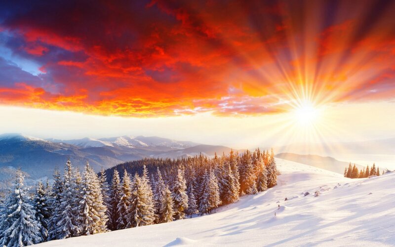 Snow-covered Pine Trees — Red, Dramatic, Winter, Photograph, Mountains