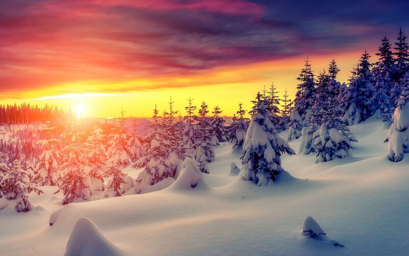 Snow-covered Pine Trees — Red, Dramatic, Winter, Photograph, Sunset