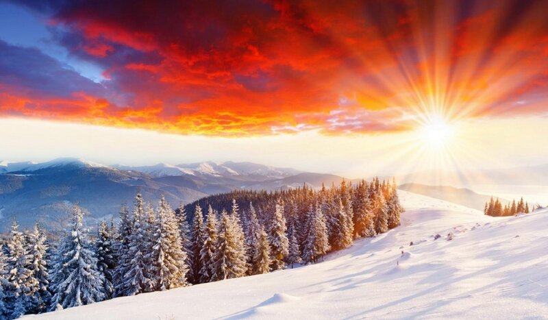 Snow-covered Pine Trees — Red, Dramatic, Winter, Photograph