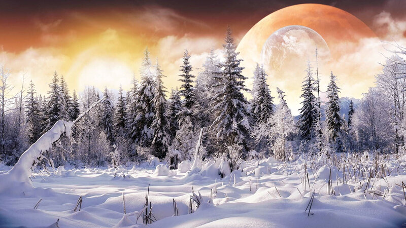 Snow-covered Pine Trees — White, Dramatic, Winter, Digital Art, Moon