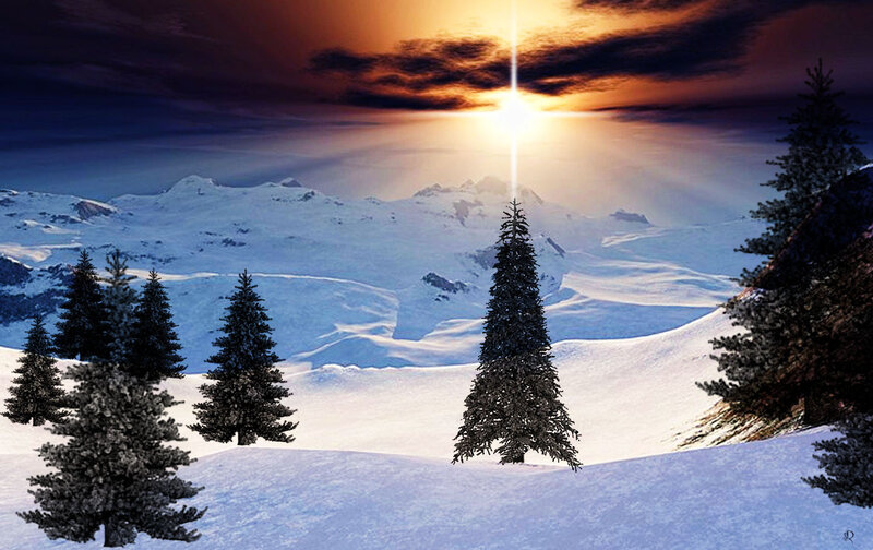 Snow-covered Pine Trees — White, Dramatic, Winter, Digital Art