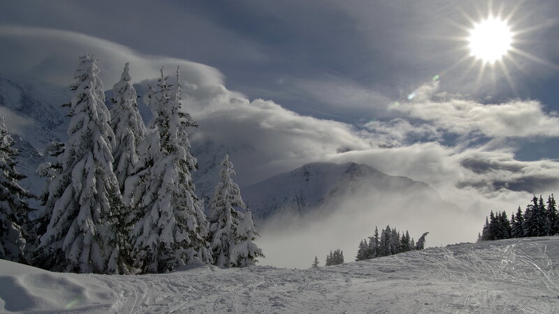 Snow-covered Pine Trees — White, Dramatic, Winter, Photograph, Mountains