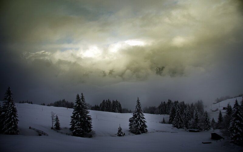 Snow-covered Pine Trees — White, Dramatic, Winter, Photograph, Snow, Clouds