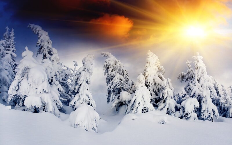 Snow-covered Pine Trees — White, Dramatic, Winter, Photograph, Sun, Clouds