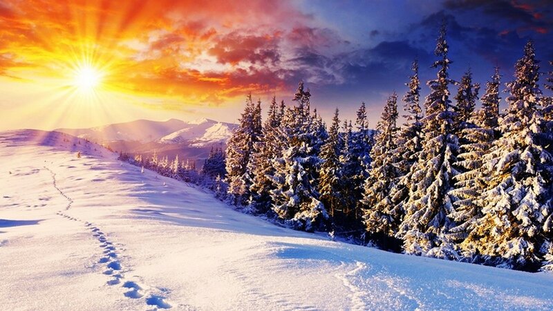 Snow-covered Pine Trees — White, Dramatic, Winter, Photograph, Sunrise, Mountains