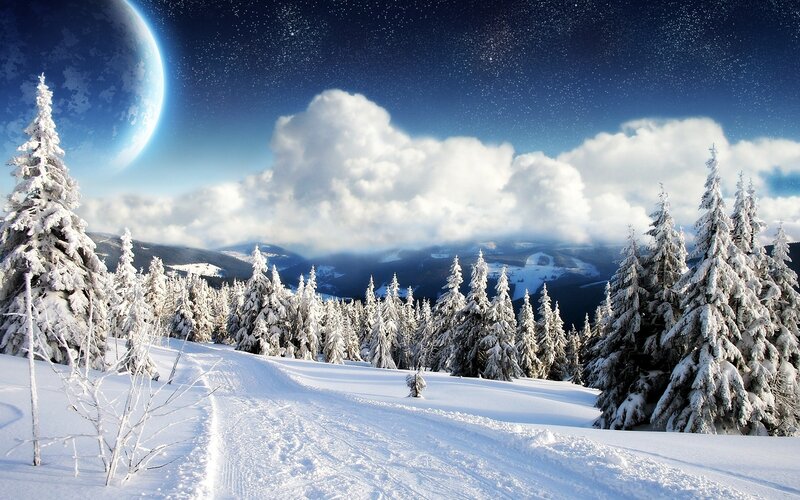 Snow-covered Pine Trees — White, Serene, Night, Digital Art, Moon
