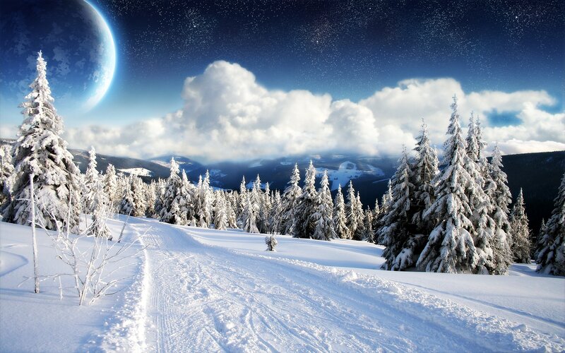 Snow-covered Pine Trees — White, Serene, Night, Digital Art, Mountains