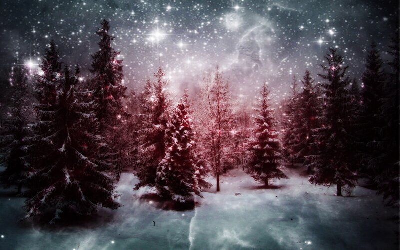 Snow-covered Pine Trees — White, Serene, Night, Digital Art, Stars