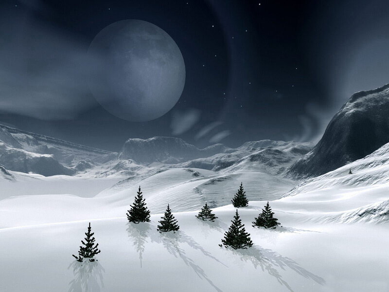 Snow-covered Pine Trees — White, Serene, Night, Digital Art