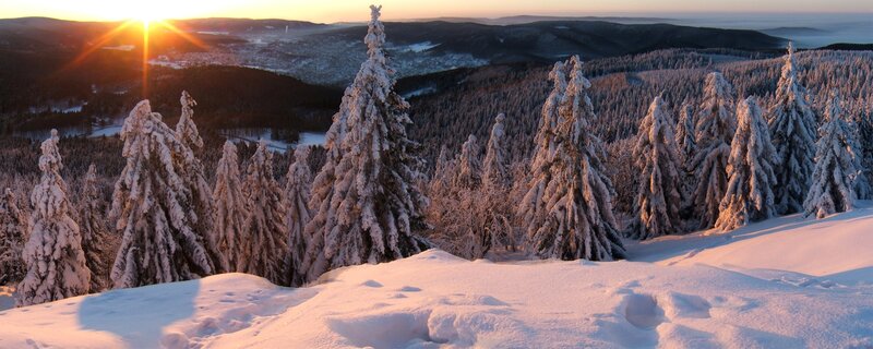 Snow-covered Pine Trees — White, Serene, Sunrise, Photograph, Mountains
