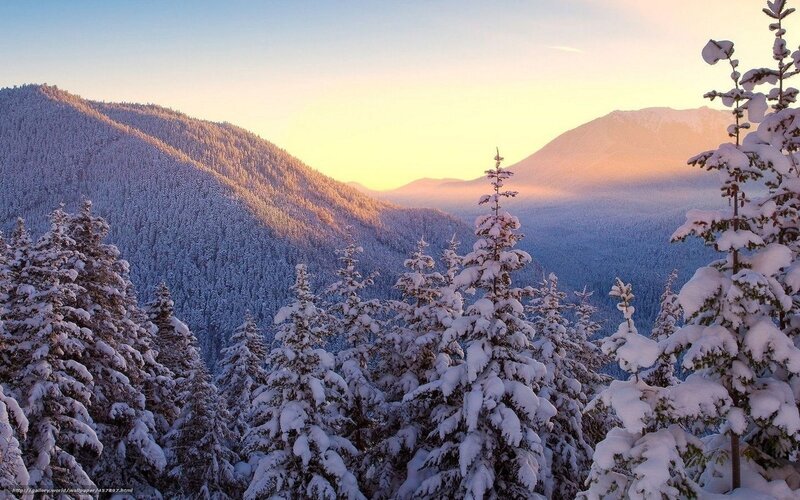 Snow-covered Pine Trees — White, Serene, Sunset, Photograph, Mountains, Forest, Sky