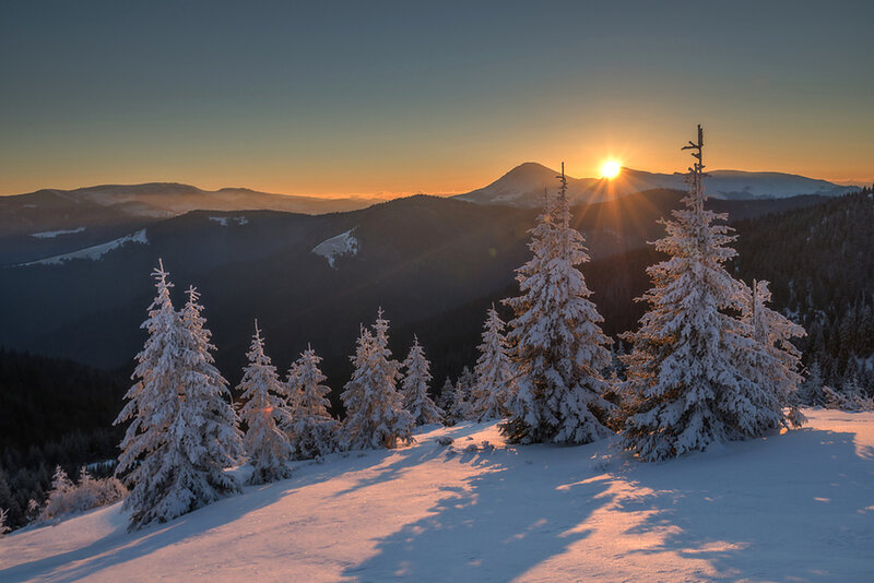 Snow-covered Pine Trees — White, Serene, Sunset, Photograph, Mountains, Sun