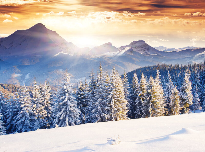 Snow-covered Pine Trees — White, Serene, Sunset, Photograph, Mountains