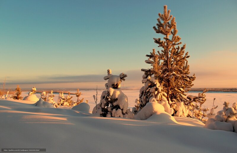 Snow-covered Pine Trees — White, Serene, Sunset, Photograph, Snow, Sky, River