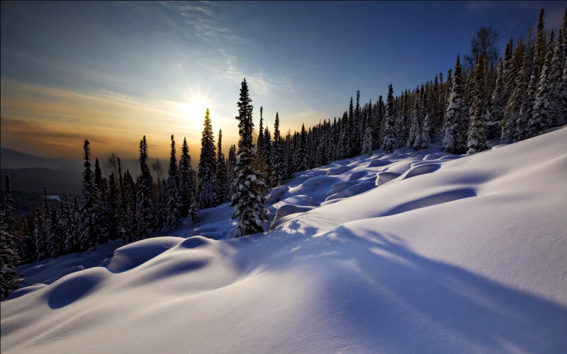 Snow-covered Pine Trees — White, Serene, Sunset, Photograph, Sun, Mountains