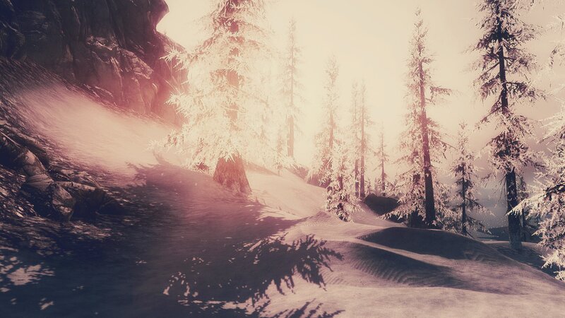 Snow-covered Pine Trees — White, Serene, Winter, 3d Render