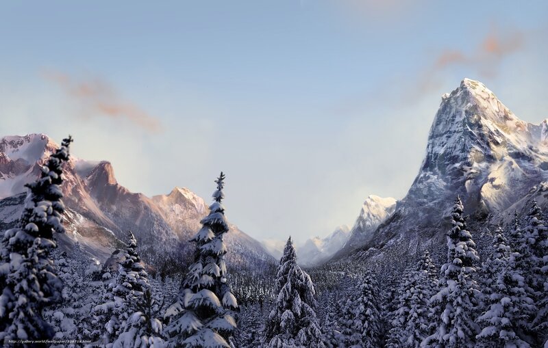 Snow-covered Pine Trees — White, Serene, Winter, Digital Art, Mountains, Snow