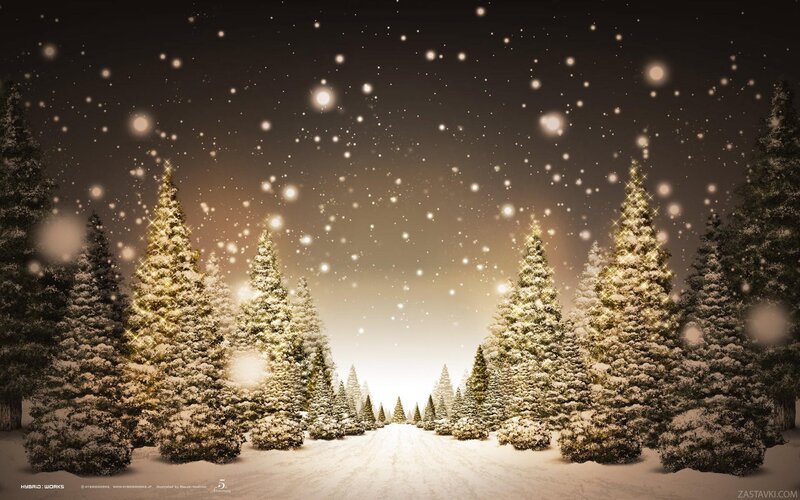 Snow-covered Pine Trees — White, Serene, Winter, Digital Art, Snow, Night Sky, Path