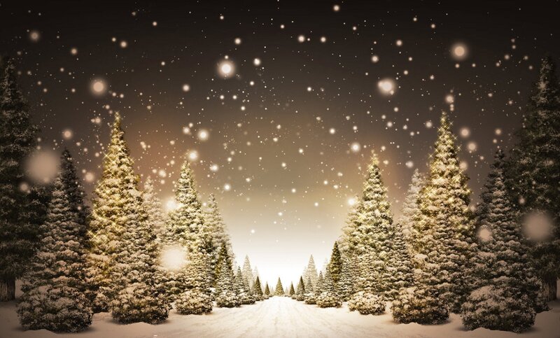 Snow-covered Pine Trees — White, Serene, Winter, Digital Art, Snow, Night Sky