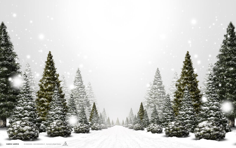 Snow-covered Pine Trees — White, Serene, Winter, Digital Art, Snow, Path