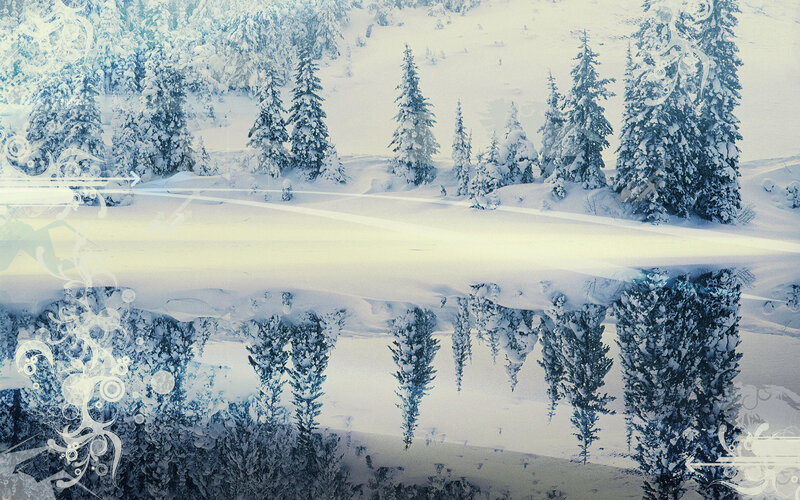 Snow-covered Pine Trees — White, Serene, Winter, Digital Art, Snow, Reflection, Ornaments
