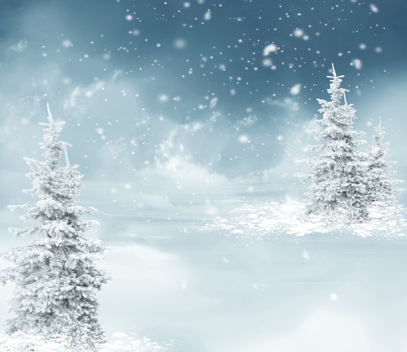 Snow-covered Pine Trees — White, Serene, Winter, Digital Art, Snow, Sky