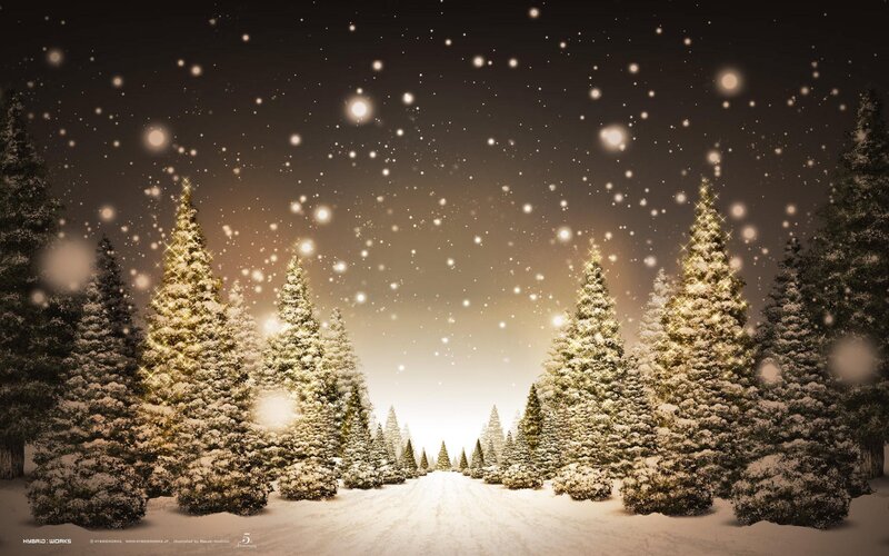 Snow-covered Pine Trees — White, Serene, Winter, Digital Art, Snow