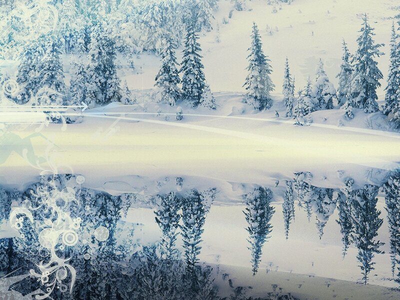Snow-covered Pine Trees — White, Serene, Winter, Digital Art