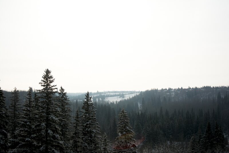 Snow-covered Pine Trees — White, Serene, Winter, Photograph, Forest, Hills