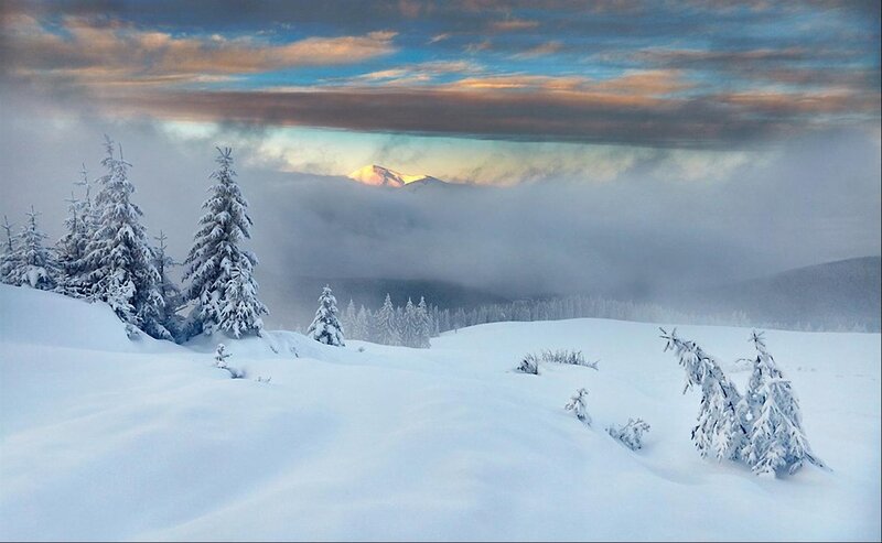 Snow-covered Pine Trees — White, Serene, Winter, Photograph, Mountain, Clouds