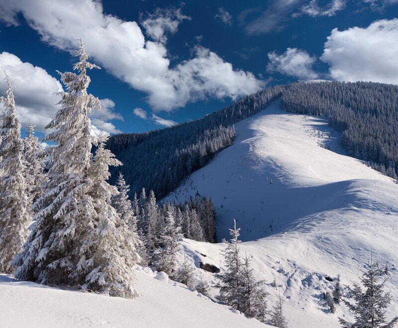 Snow-covered Pine Trees — White, Serene, Winter, Photograph, Mountain, Forest, Sky, Clouds